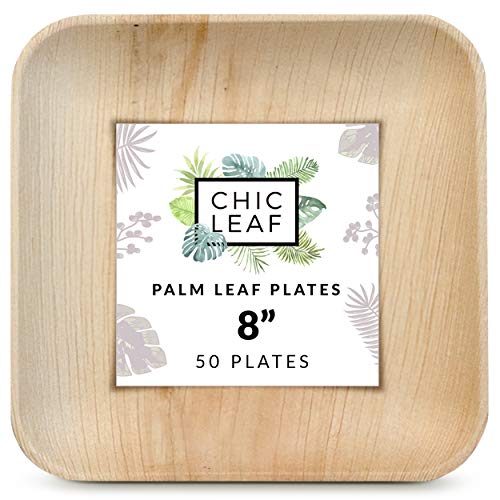 Chic Leaf Palm Leaf - Bamboo Disposable 8 Inch Square Plates (50 Pc)