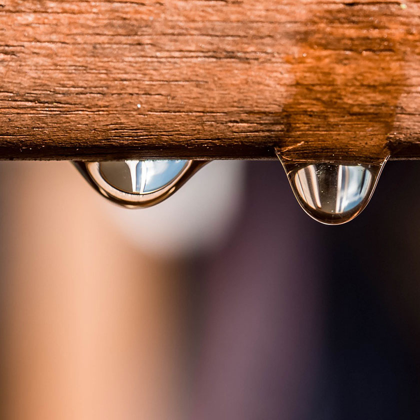 Rain Harvesting