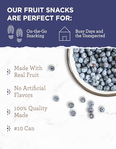 READYWISE - Simple Kitchen Freeze Dried Whole Blueberries, 28 Servings, Vegan, Gluten Free, Fruit Snacks, Emergency Supplies, Dehydrated Fruit, Blueberries