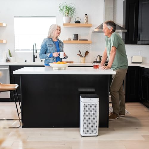 Medify MA-40 Air Purifier with True HEPA H13 Filter