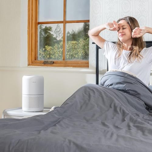 OLIXIS Air Purifier For Home - 3-in-1 HEPA Filter With Quiet Sleep Mode