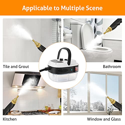 WICHEMI Steam Cleaner Steamer