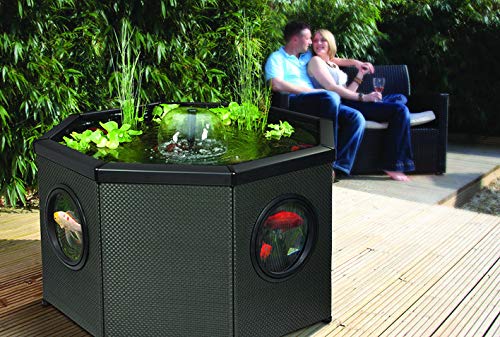 Pennington Aquagarden, Complete Raised Window Pond Kit
