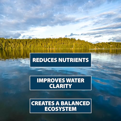 Airmax PondClear Packets, Beneficial Bacteria &amp; Enzyme Clarifier Treatment with Ecoboost PRx