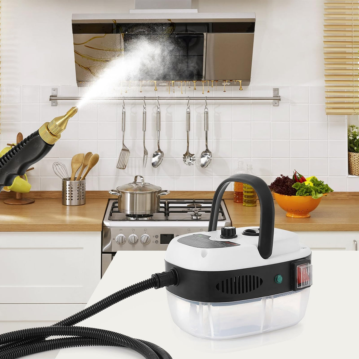 WICHEMI Steam Cleaner Steamer