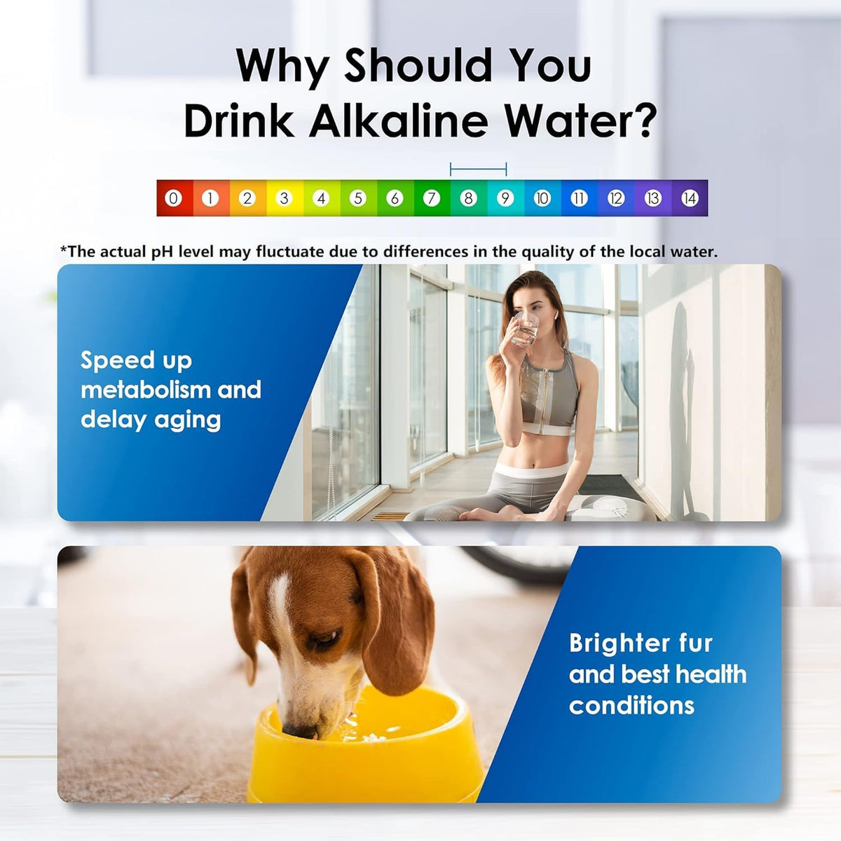 Waterdrop Alkaline Water Filter Dispenser