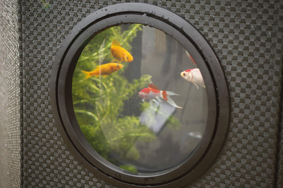 Pennington Aquagarden, Complete Raised Window Pond Kit