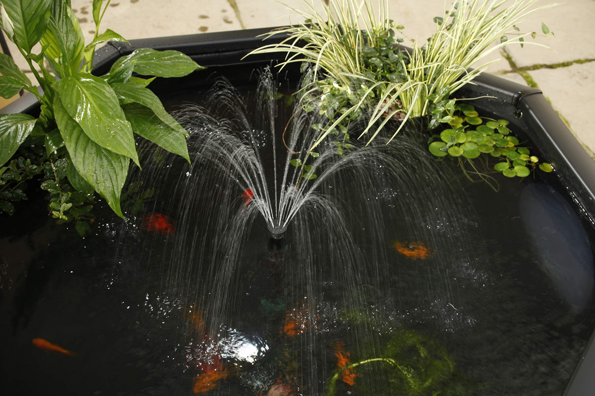 Pennington Aquagarden, Complete Raised Window Pond Kit