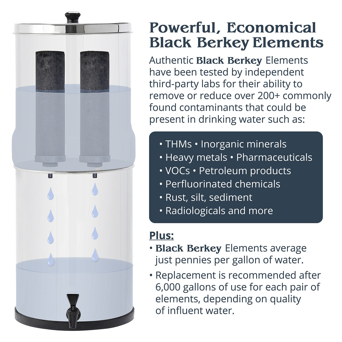 Royal Berkey Gravity-Fed Water Filter System with 2 Black Berkey Elements Plus Deluxe 10&quot; Stainless Steel Berkey Water View Spigot