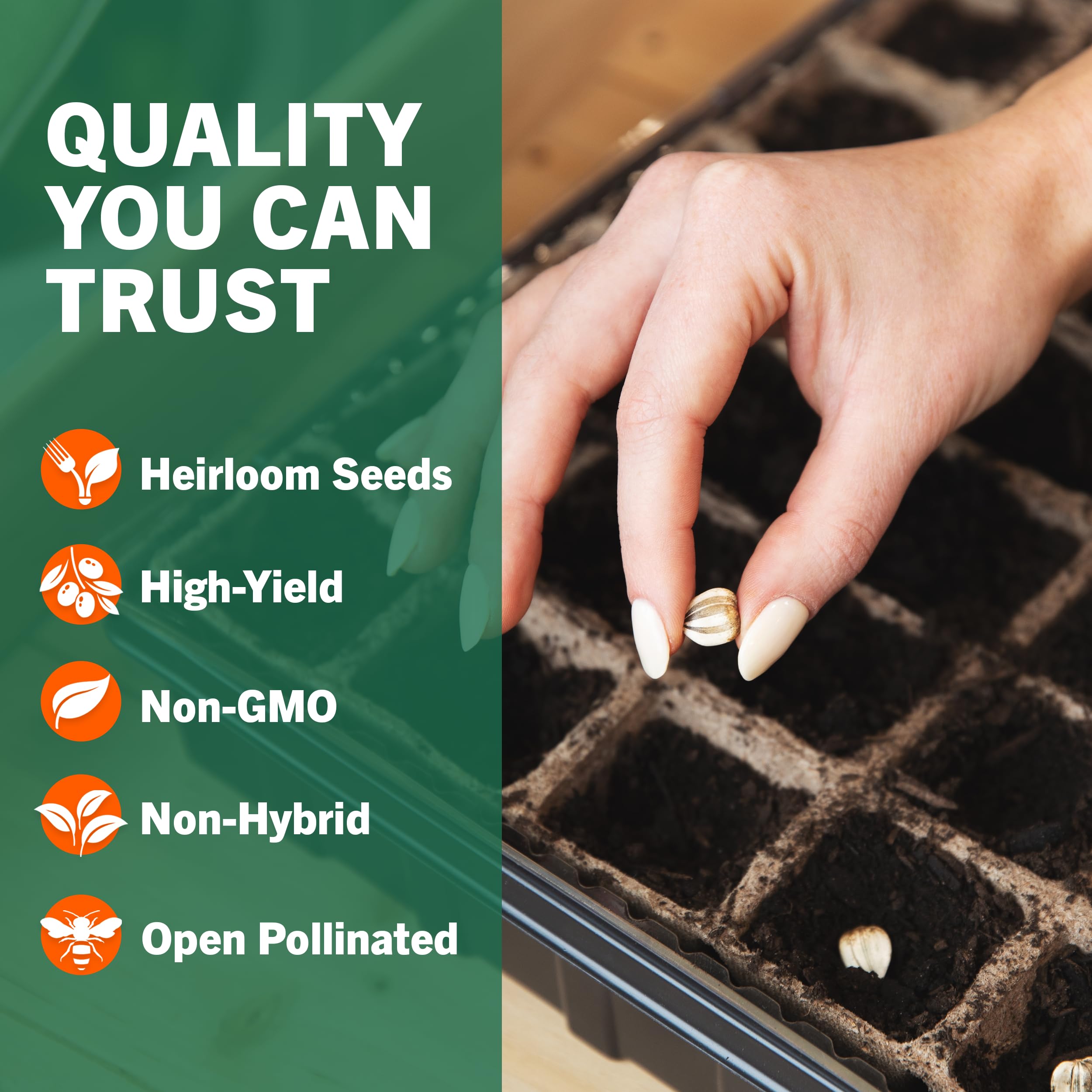 open seed vault herb garden Open Seed Vault 15,000 Non GMO Heirloom Vegetable Seeds