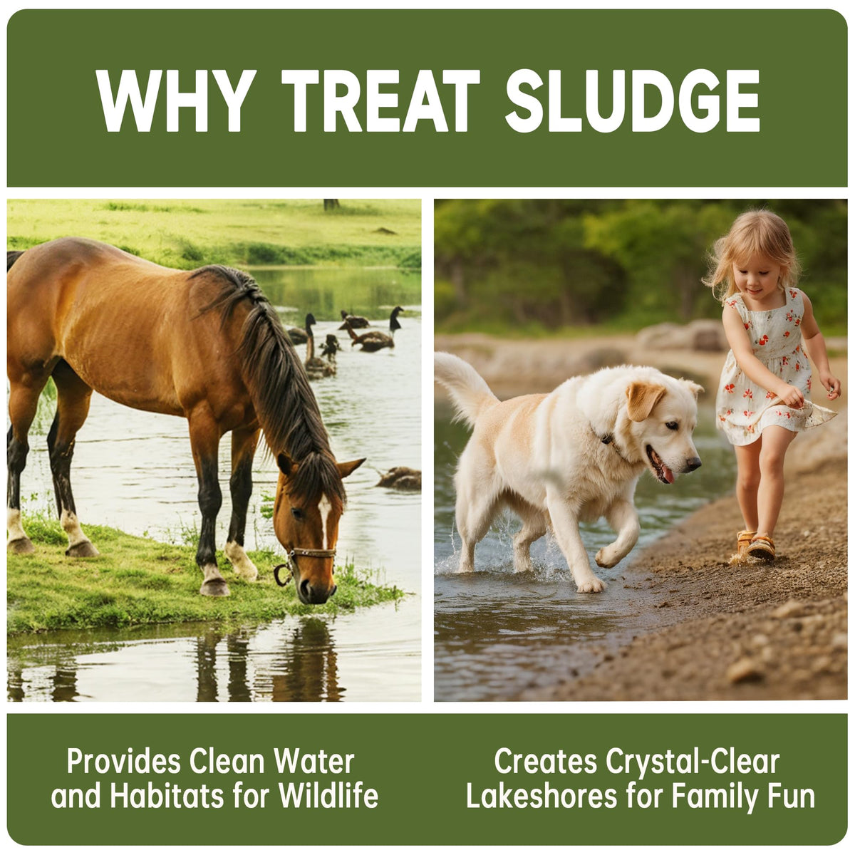 LMJP Muck Reducer - 5LB Natural Muck and Sludge Remover Tablets for Ponds &amp; Lakes