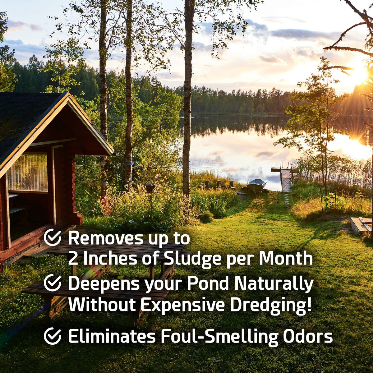 Cabin Obsession - Pond Sludge Remover