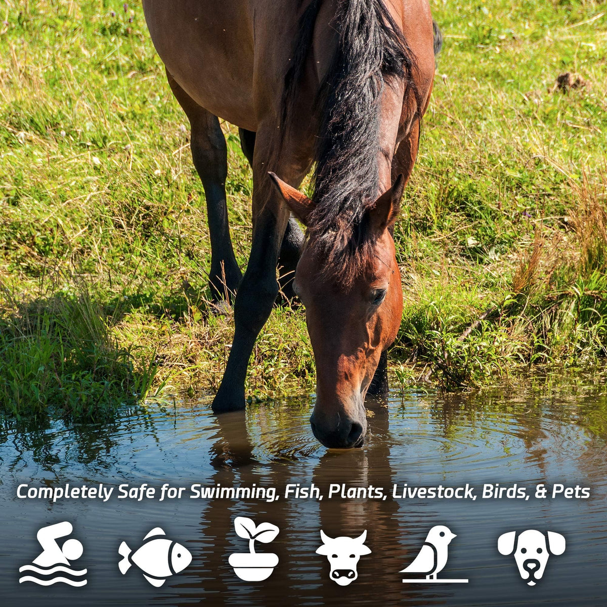 Cabin Obsession - Pond Sludge Remover