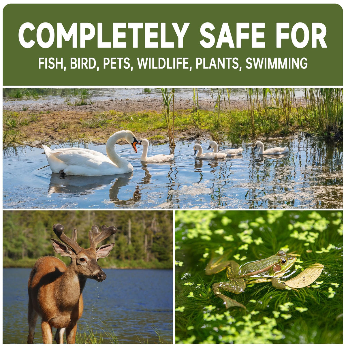 LMJP Muck Reducer - 5LB Natural Muck and Sludge Remover Tablets for Ponds &amp; Lakes