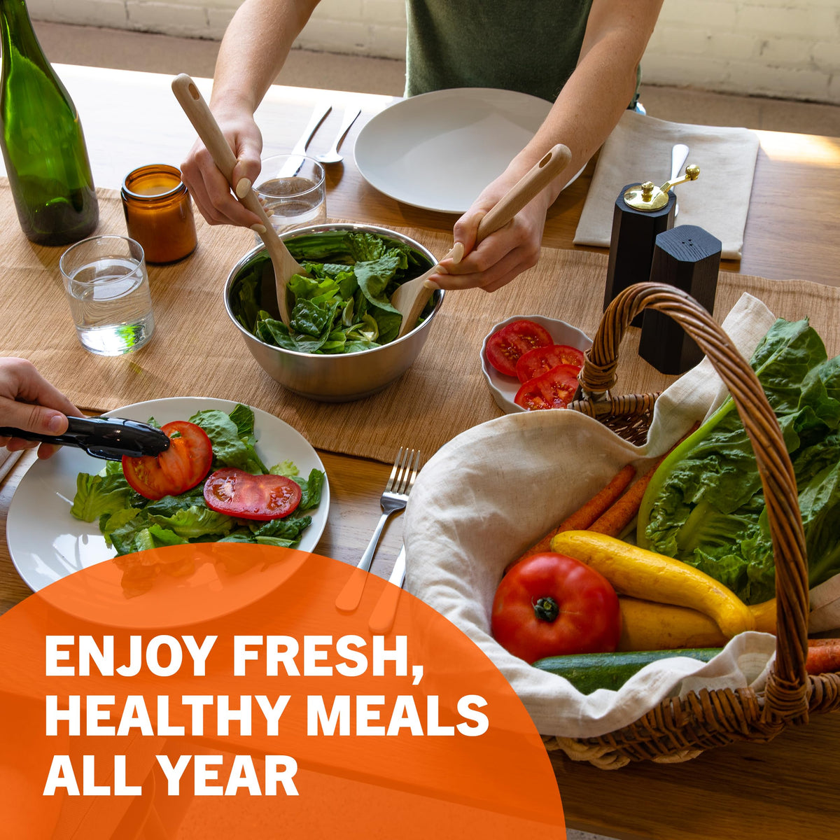 Open Seed Vault 15,000 Non GMO Heirloom Vegetable Seeds