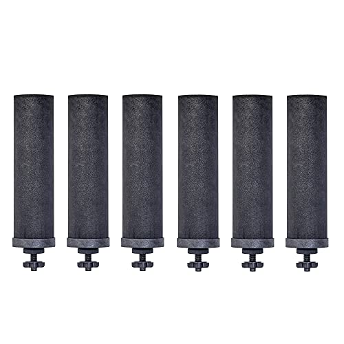Berkey Authentic Black Berkey Elements - Berkey Water System Replacement Filters (Pack of 6)