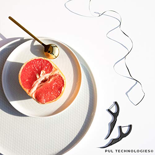 PUL Biodegradable Dental Floss Picks