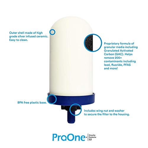 ProOne G2.0 9-Inch Gravity Water Replacement Filter