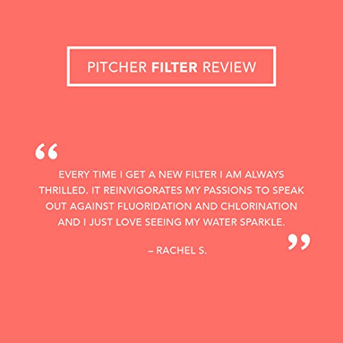 3 Pack of Clearly Filtered Water Pitcher Replacement Filters