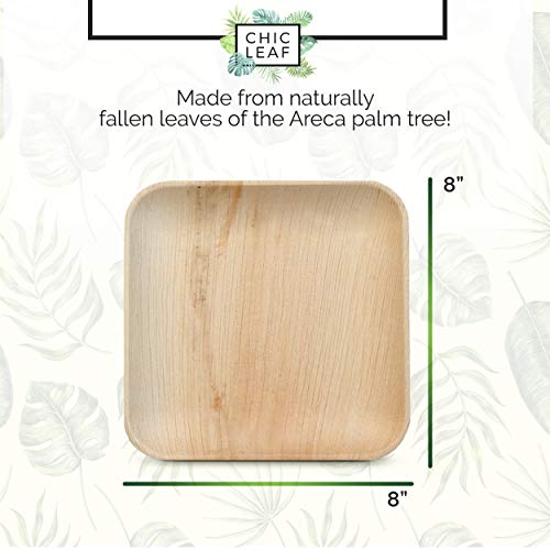Chic Leaf Palm Leaf - Bamboo Disposable 8 Inch Square Plates (50 Pc)