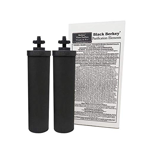 Berkey Authentic Black Berkey Purification Elements - Berkey Water Purifier Replacement Filters (Pack of 2)