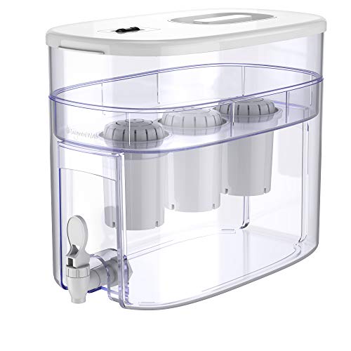 Invigorated Water Alkaline Water Filter Dispenser