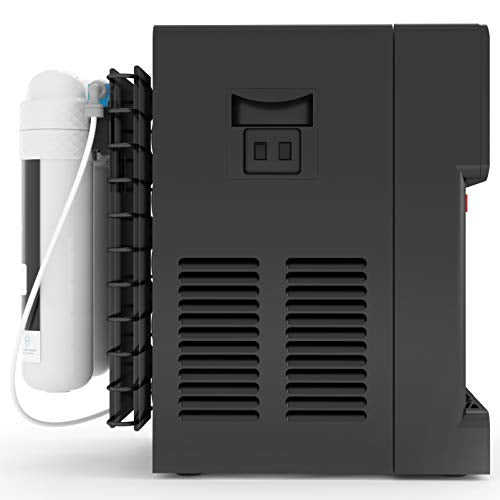 Avalon Countertop Self Cleaning Touchless Bottleless Cooler Dispenser