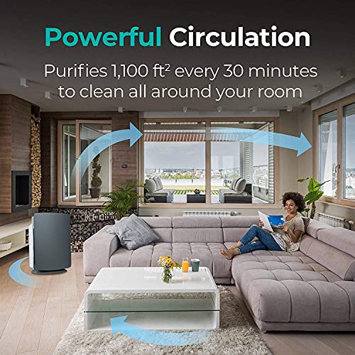 Alen BreatheSmart Classic Large Room Air Purifier