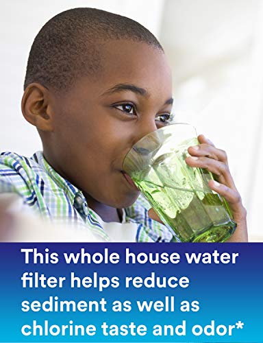 3M Aqua-Pure Whole House Sanitary Quick Change Water Filter System AP903