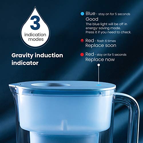 Waterdrop Lucid 10-Cup NSF Certified Water Filter Pitcher