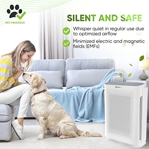 InvisiClean Aura II Air Purifier for Home Allergies &amp; Pets