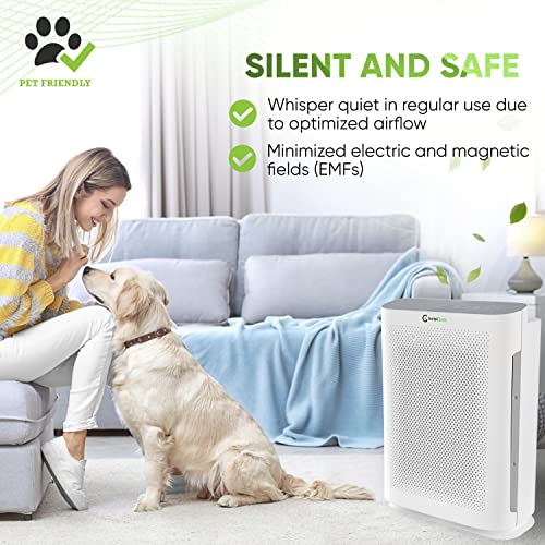 InvisiClean Aura II Air Purifier for Home Allergies & Pets