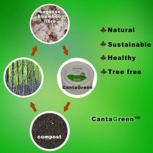CantaGreen 6 inch Compostable Dessert Plates,100 Count Heavyduty Sugarcane/Bagasse and Bamboo Fibre Biodegradable Disposable Paper Plate