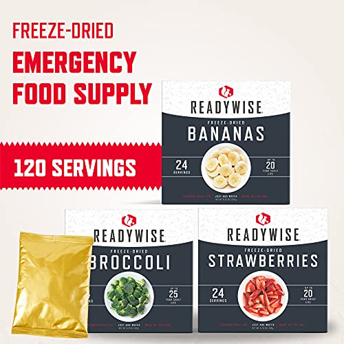 ReadyWise Emergency Food Supply, Freeze-Dried Survival-Food Disaster Kit 120 Servings