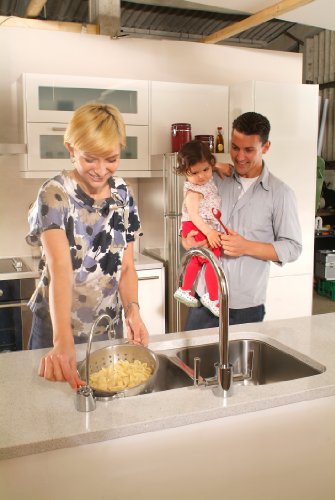 InSinkErator F-HC1100C 719537 Contemporary Instant Hot &amp; Cold Water Dispenser, One Size, Chrome