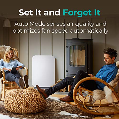 Alen BreatheSmart 75i Large Room Air Purifier
