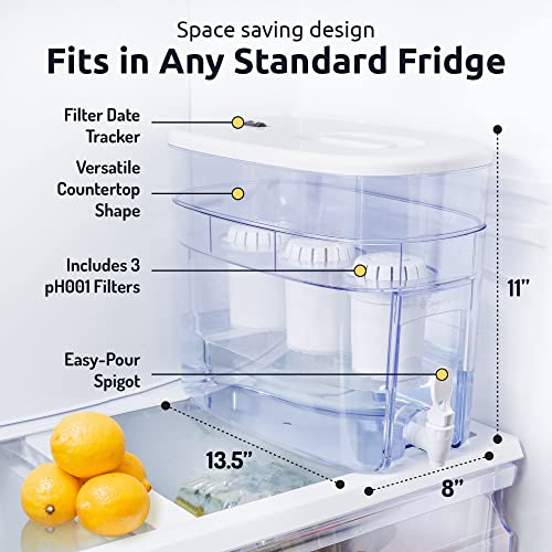 Invigorated Water Alkaline Water Filter Dispenser