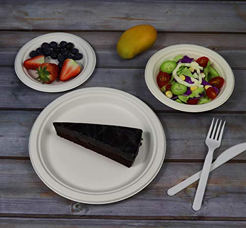 CantaGreen 6-inch Compostable Dessert Plates - 100 Count