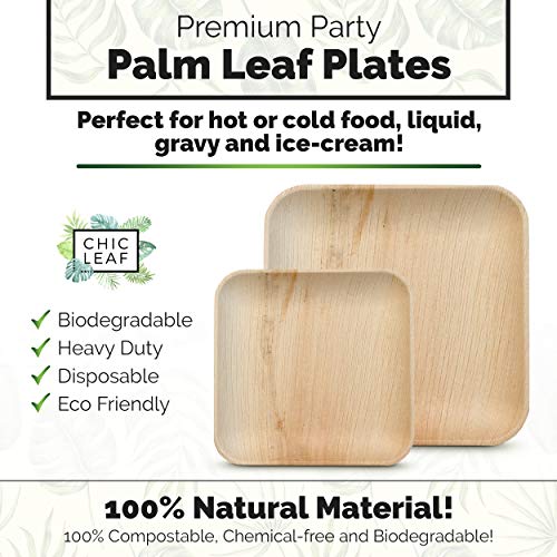 CantaGreen 6 inch Compostable Dessert Plates,100 Count Heavyduty