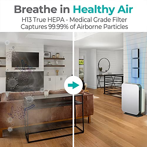 Alen BreatheSmart 75i Large Room Air Purifier Clean Water Mill