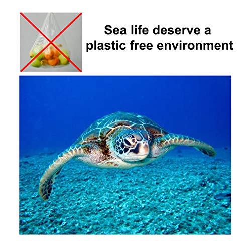 Nipaqui 17 PCS Zero Waste ECO Friendly Gifts