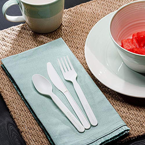 250 Piece Compostable Paper Plates Set with Extra Long Utensils