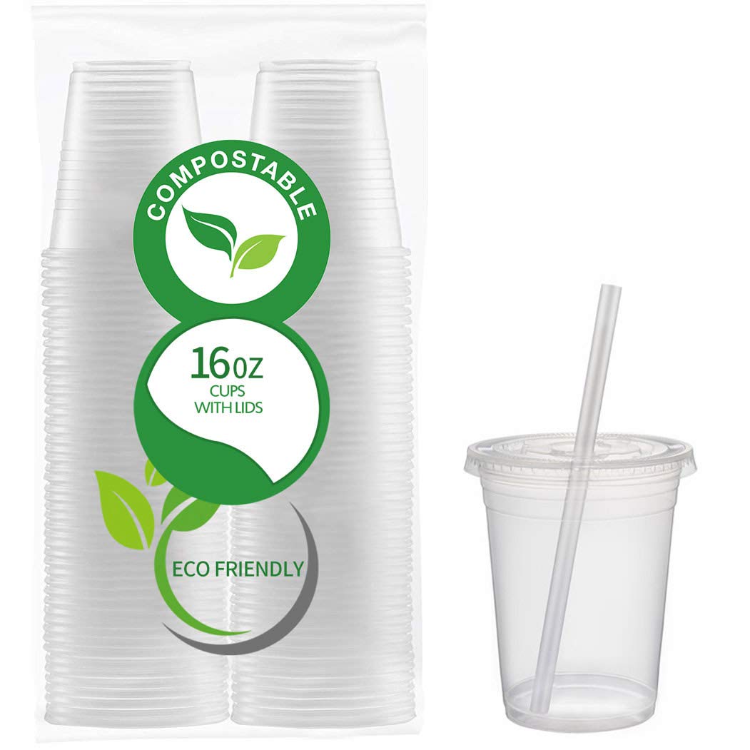 50 Count Eco Friendly Clear PLA Cups with Lids - Plasticless 16 Ounce Biodegradable Plastic Cups - Main View