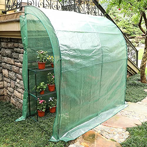 Mini Walk in Green House Home Garden Pvc Greenhouse With - Temu