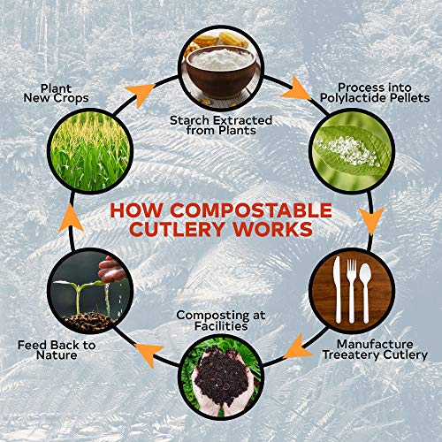 Treeatery Compostable Cutlery Set - 380 Value Pack [180 Forks, 100 Spoons, 100 Knives] - Plant A Tree With Every Box - Eco Friendly Compostable Utensils-BPI Certified Plant-Based Disposable Silverware